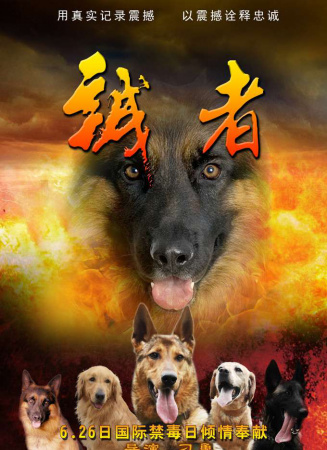 诚者