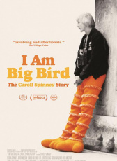 我是一只大大鸟