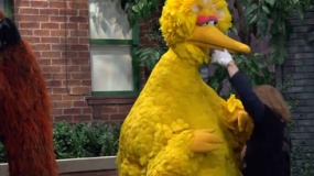 《我是一只大大鸟》中文精彩预告 难忘大鸟那些年