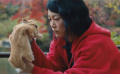 《宝藏猎人久美子》中文片段 久美子不舍放生兔兔
