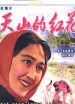 天山的红花