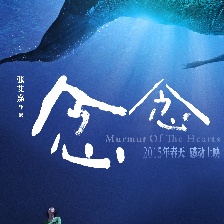 念念