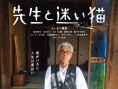 老师和迷路猫