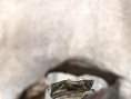 狙擊精英：重裝上陣