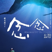 念念