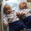 范瑋琪曬愛子照“光頭飛飛”來襲 被調(diào)侃像鄭愷