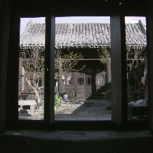 回來的愛