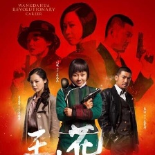 王大花的革命生涯