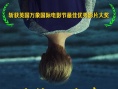 哭泣的石头