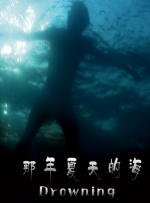 那年夏天的海