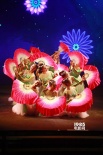 中國之夜節(jié)目多樣備受好評 舞蹈唯美雜技驚險