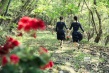 《京城学校》海报剧照 朴宝英严志媛朴素淡主演