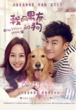 《我的男友和狗》6.19映 张钧甯职场变身女强人
