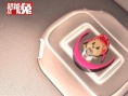 超能兔戰(zhàn)隊(duì)