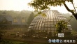 《分歧者2》曝片场照 狮门大投资再造系列经典