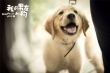 《我的男友和狗》曝里拉特輯 寵物電影治愈人心