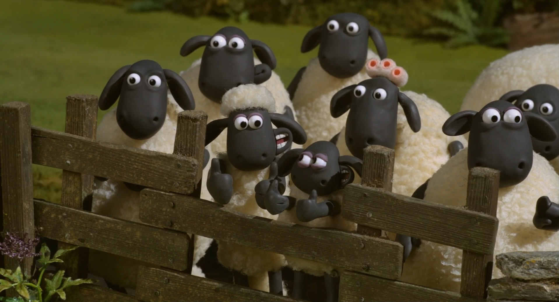 Shaun le mouton, le film Fond d'écran HD | Arrière-Plan | 1920x1080 ...