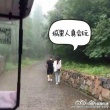 陈赫与张子萱同游度假村 全程有说有笑心情靓