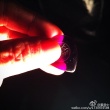 真的爱你！黄家驹逝世22周年 黄贯中陈楚生悼念