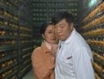 在这个家庭里