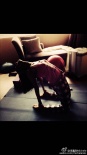 45歲李嘉欣家中練瑜伽 下腰劈腿身體超級(jí)柔韌