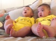 范瑋琪兒子變“小黃人” 兄弟倆抬腳“大比武”