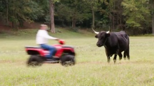 《假期历险记》中文片段 艾德驾草地摩托不幸撞牛