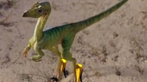 《侏罗纪公园》粉丝自制短片 当霸王龙穿上高跟鞋