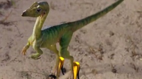 《侏罗纪公园》粉丝自制短片 当霸王龙穿上高跟鞋
