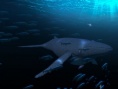 动画《美人鱼》将映 魔法海底世界开启童年回忆