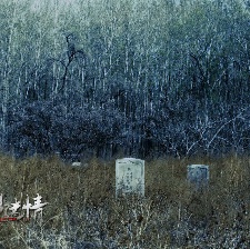 詭影迷情