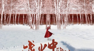 《战火中的芭蕾》北京首映 上演跨国凄美爱恋