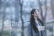 《夜孔雀》劇照曝光 劉亦菲劉燁 “泄露天機(jī)”