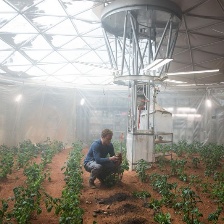火星救援