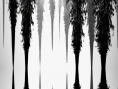 海岛惊魂前传