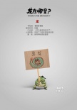 《龍?jiān)谀睦?？》舞林?zhēng)霸特輯 動(dòng)感簡(jiǎn)約嗨爆金秋