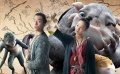 257期：暑期檔大盤點(diǎn) 《來(lái)自遠(yuǎn)方》爆冷奪金獅