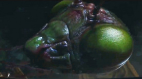《鸡皮疙瘩》精彩片段 杰克·布莱克遭螳螂怪追击