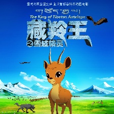 藏羚王之雪域精靈