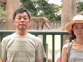 愛(ài)の小さな歴史