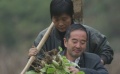 乡村教师