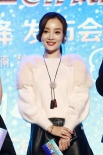 導演魏楠證實章子怡懷孕 郭敬明稱陳學冬難控制