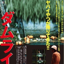 該死的生活