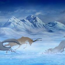 藏羚王之雪域精靈