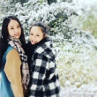 佟麗婭挺孕肚與董璇打雪仗 二人合影似雙胞胎