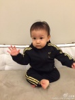 張震首曬女兒正面照 小臉肉嘟嘟盤(pán)腿打坐顯呆萌