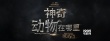 《神奇動(dòng)物》發(fā)布首支預(yù)告 魔法世界再度歸來(lái)
