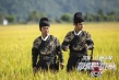 发红包OUT了！《极限挑战》曝“压岁钱”版海报