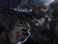 小動物 大英雄 3D