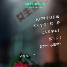 我的“狐朋狗友”